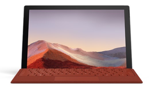东城清洁和维护 Surface